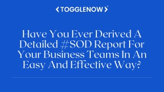 Have You Ever Derived A Detailed #SOD Report For Your Business Teams In An Easy And Effective Way