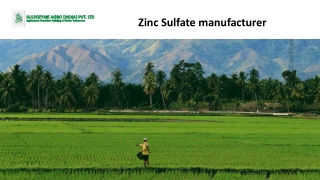 Zinc Sulfate manufacturer