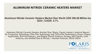 Aluminum Nitride Ceramic Heaters Market