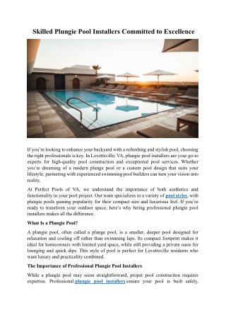 Skilled Plungie Pool Installers Committed to Excellence