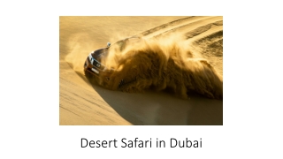 dubai desert fun