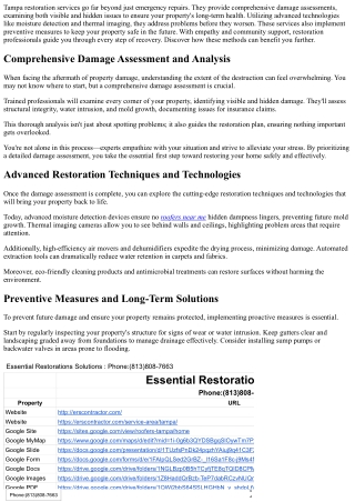 Tampa Restoration Services: Beyond Emergency Repairs