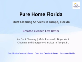 Duct Cleaning Services in Tampa - Pure Home Florida