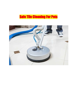 Safe Tile Cleaning For Pets