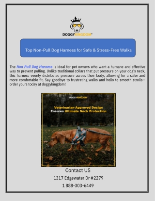 Top Non-Pull Dog Harness for Safe & Stress-Free Walks