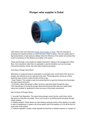 Plunger valve supplier in Dubai