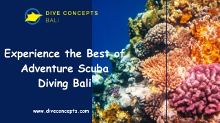 Experience the Best of Adventure Scuba Diving Bali