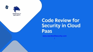 Code Review for Security in Cloud Paas