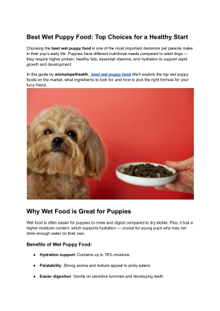 Best wet puppy food: Top Choices for a Healthy Start