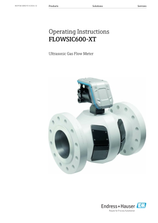 Endress Hauser (E H) FLOWSIC600-XT ultrasonic flowmeters | Instronline