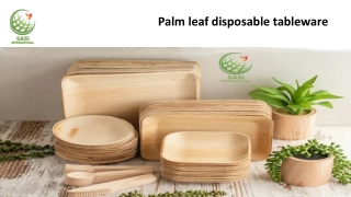 palm leaf disposable tableware