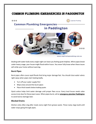 Common Plumbing Emergencies in Paddington