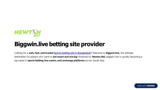 biggwin.live betting site provider