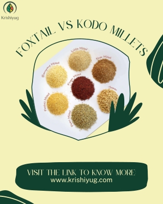 Foxtail vs Kodo millets