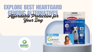 Explore Best Heartgard Generic Alternatives