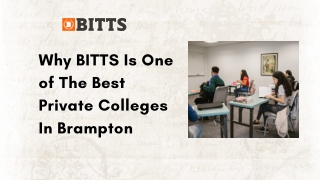 Why BITTS Is One of The Best Private Colleges In Brampton