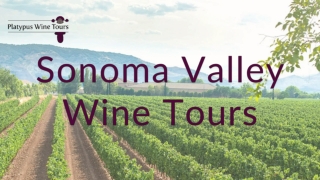 Why Sonoma Valley Wine Tours Are Worth It