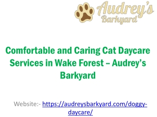 Comfortable and Caring Cat Daycare Services in Wake Forest – Audrey’s Barkyard