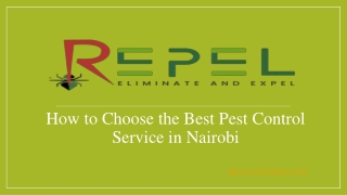 How to Choose the Best Pest Control Service in Nairobi