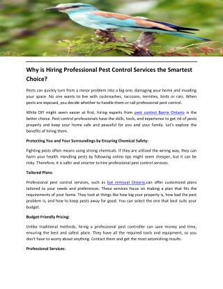 Why is Hiring Professional Pest Control Services the Smartest Choice