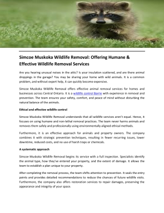 Simcoe Muskoka Wildlife Removal Offering Humane & Effective Wildlife Removal Services