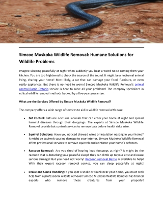 Simcoe Muskoka Wildlife Removal Humane Solutions for Wildlife Problems