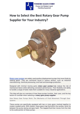 How to Select the Best Rotary Gear Pump Supplier for Your Industry?