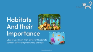 Habitats and Their Importance – A Science Lesson by CuriousEd.ai