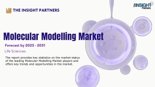 Molecular Modelling Market