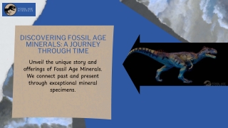 Discovering Fossil Age Minerals: A Journey Through Time