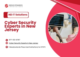 Cyber Security Experts in New Jersey