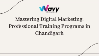 Digital Marketing Training in Chandigarh – Wavy Informatics
