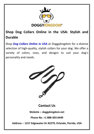 Shop Dog Collars Online in the USA Stylish and Durable