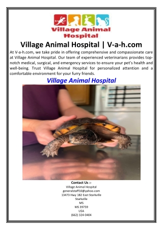 Village Animal Hospital  V-a-h