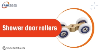 Shower door rollers (1)
