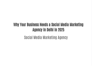 Why Your Business Needs a Social Media Marketing Agency in Delhi in 2025