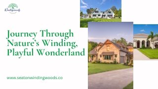 Journey Through Nature’s Winding, Whimsical Wonderland