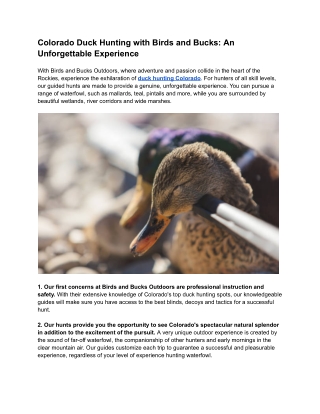 Colorado Duck Hunting with Birds and Bucks_ An Unforgettable Experience