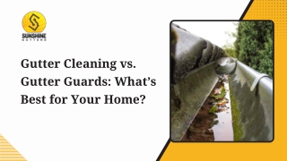 Gutter Cleaning vs. Gutter Guards What’s Best for Your Home