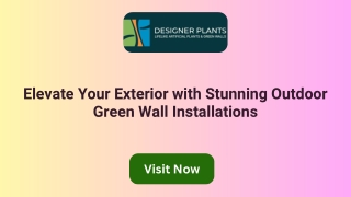 Elevate Your Exterior with Stunning Outdoor Green Wall Installations
