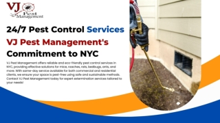 24/7 Pest Control Services VJ Pest Management's Commitment to NYC