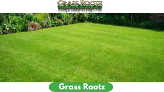 Grass Rootz Natural Treatment Program - Grass Rootz, LLC