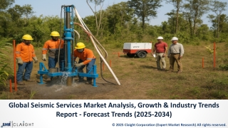 Seismic Services Market Size, Share & Trends Analysis (2025-2034)