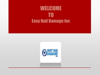 Auto Hail Specialist | Easy Dent Removal