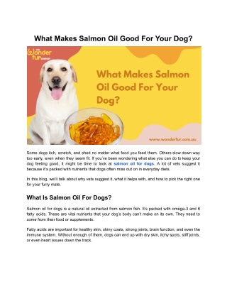 What Makes Salmon Oil Good For Your Dog
