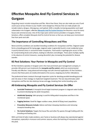 Effective Mosquito And Fly Control Services in Gurgaon