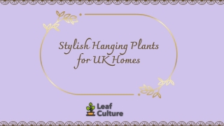 Stylish Hanging Plants for UK Homes