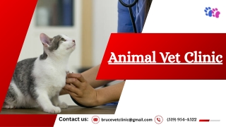 The Neighborhood’s Trusted Animal Vet Clinic & Medical Center
