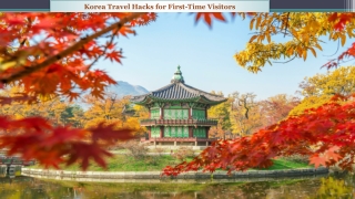 Korea Travel Hacks for First-Time Visitors