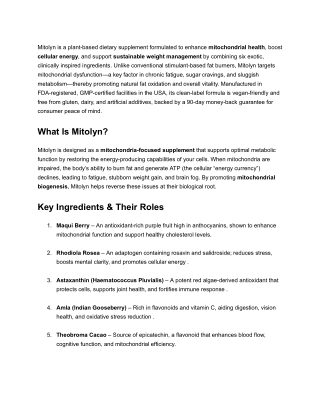 Mitolyn: Premium Support for Energy, Recovery, and Vitality